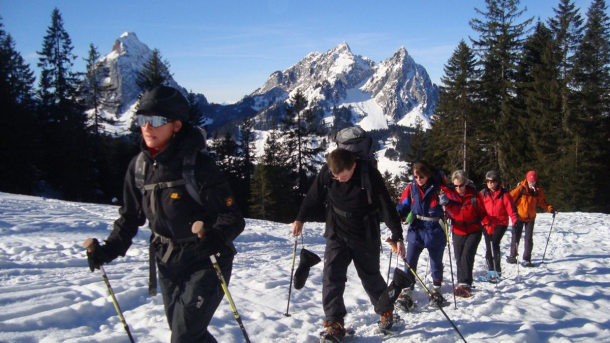 2013_01_26_Alpthal_04