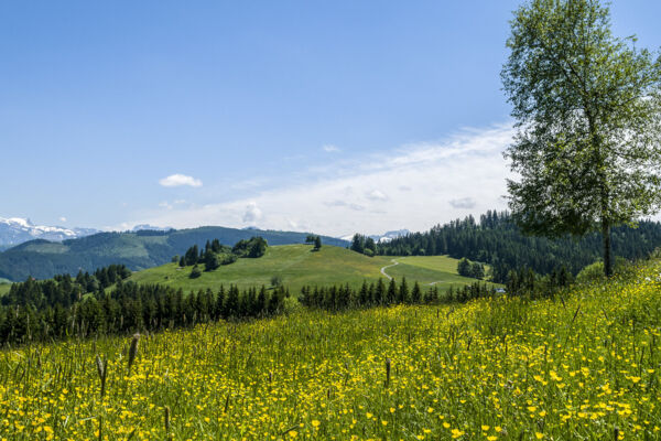 Oberägeri – St. Jost – Raten – Menzingen