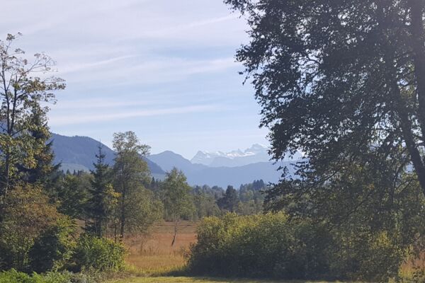 Höhenwanderung Zugerberg - Walchwil