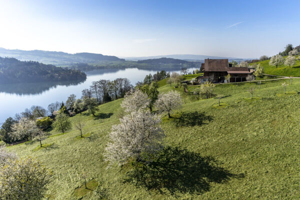 Zug – Walchwil