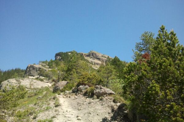 Goldau-Wildspitz-Sattel