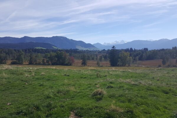 Höhenwanderung Zugerberg - Walchwil