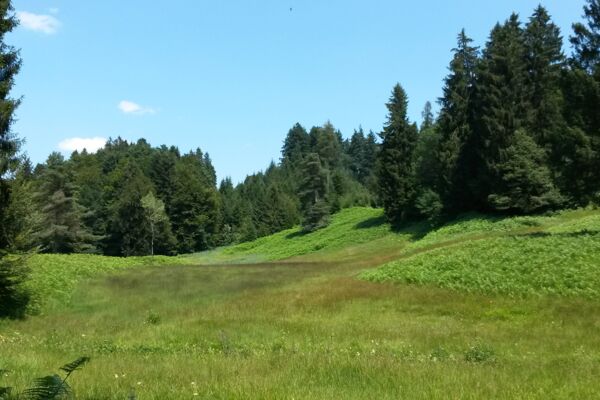 Udligenswil-Wagemoos-Dottenberg-Udligenswil