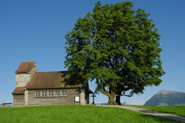 Rotkreuz – Michaelskreuz – Rotkreuz