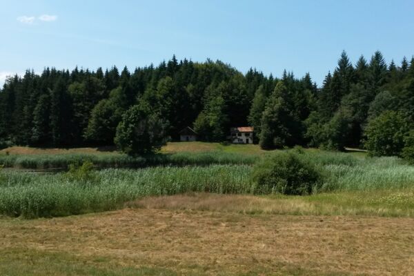 Udligenswil-Wagemoos-Dottenberg-Udligenswil