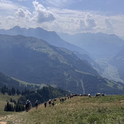 IMG_2768