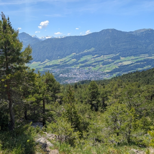 PXL_20260529_111405216