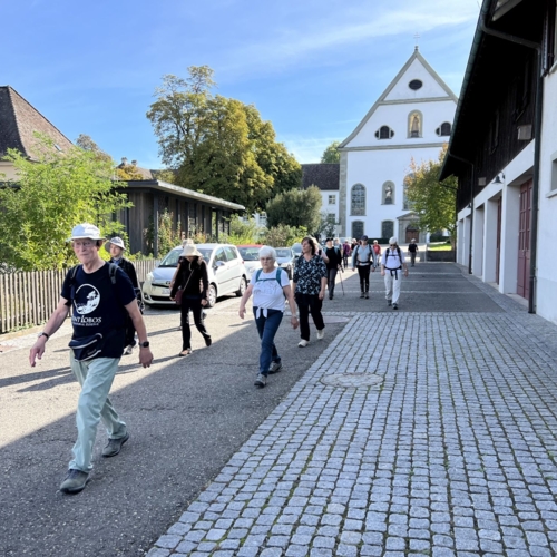 IMG_7881