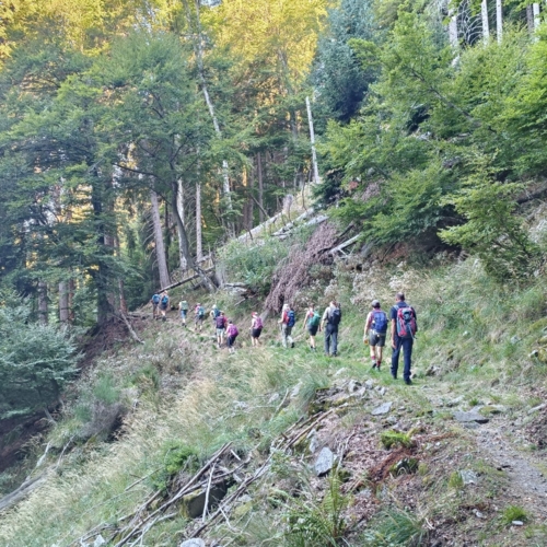 IMG20260906095634