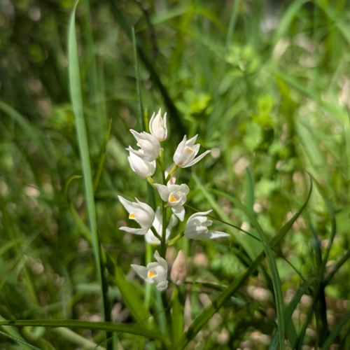 PXL_20260529_095623936