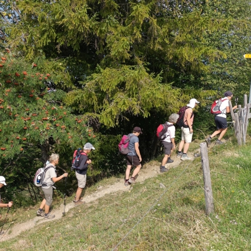 IMG20260816110535