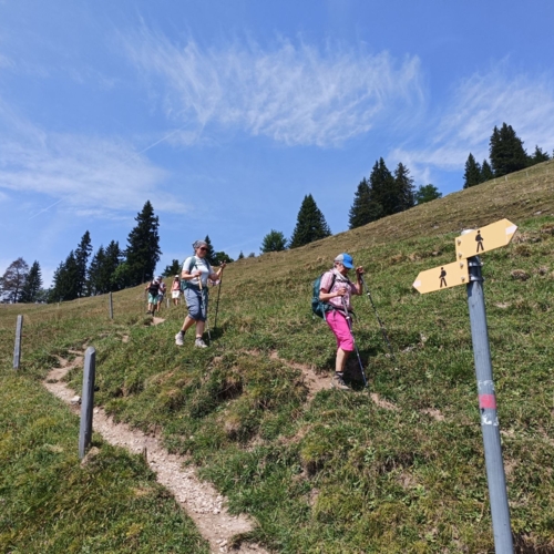 IMG20260816135809