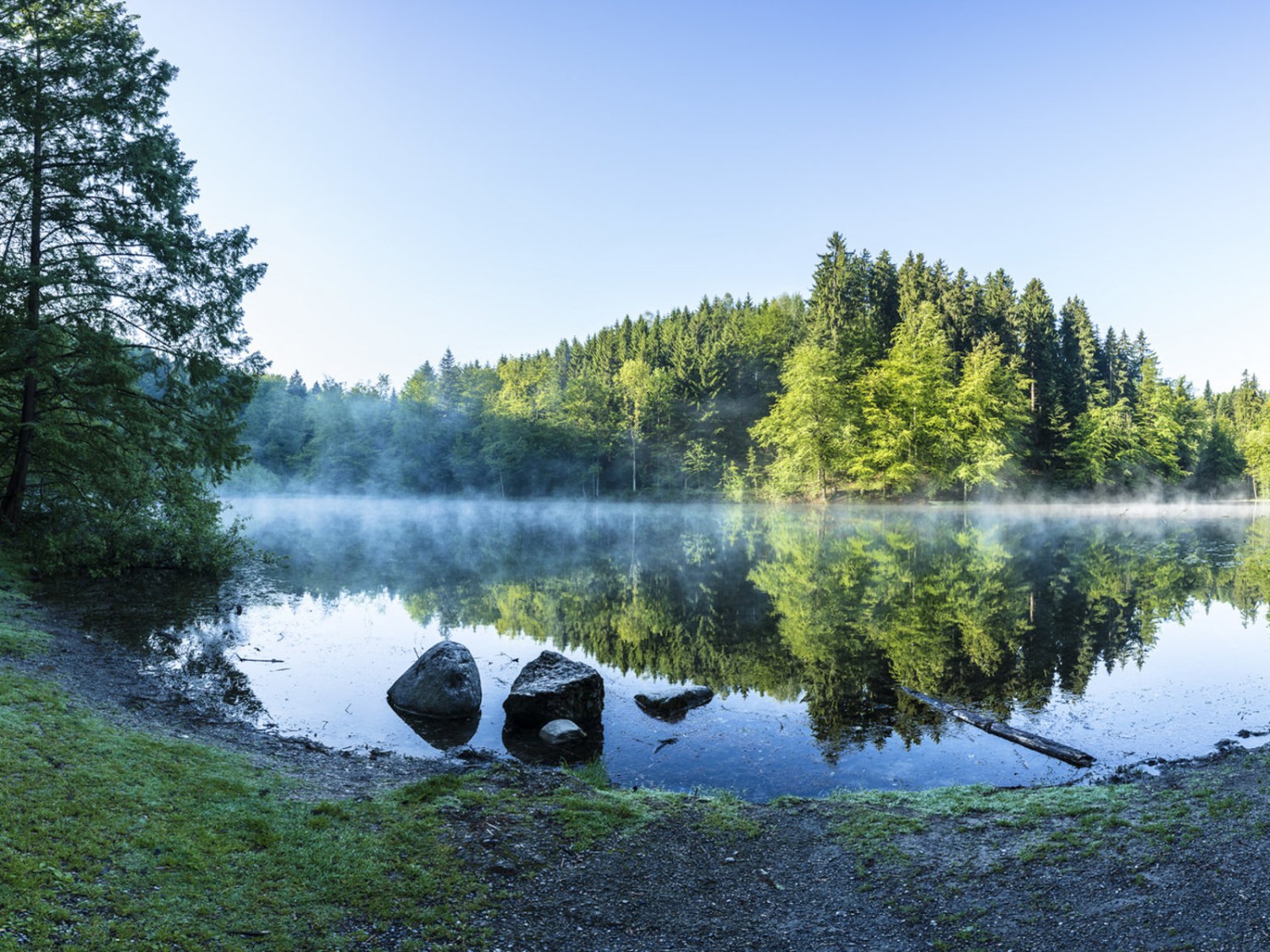 Mystischer Rastplatz im Steinhauser Wald