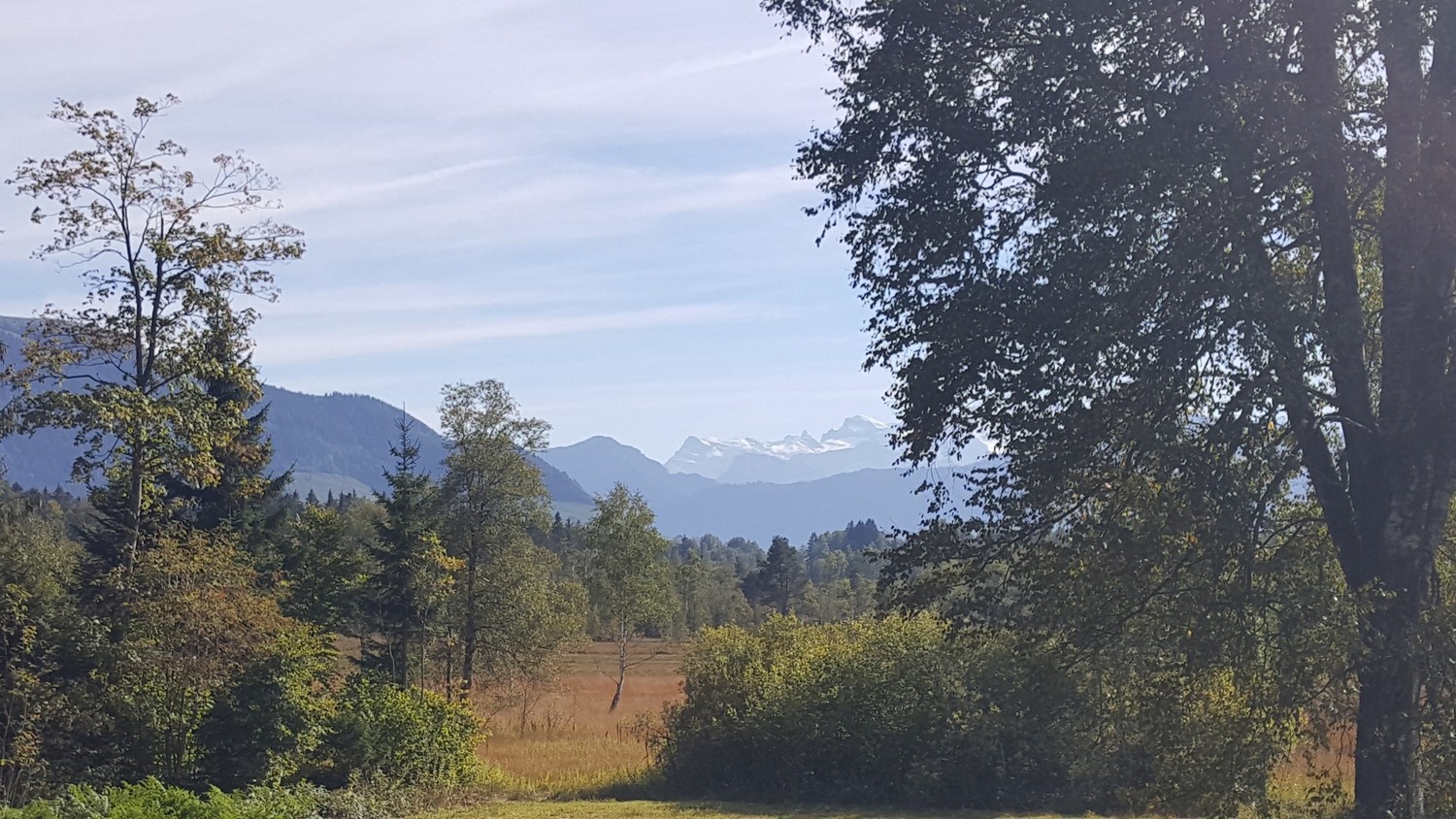 Voralpine Landschaft