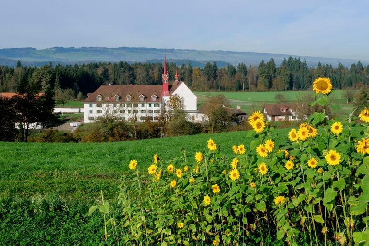 Kloster Frauenthal