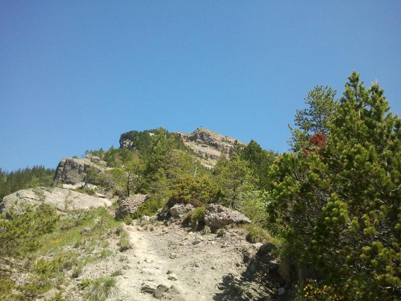 Im Bergsturzgebiet