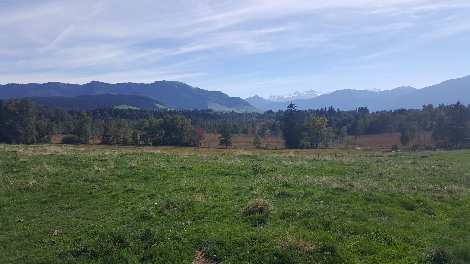 Moorlandschaft Zugerberg