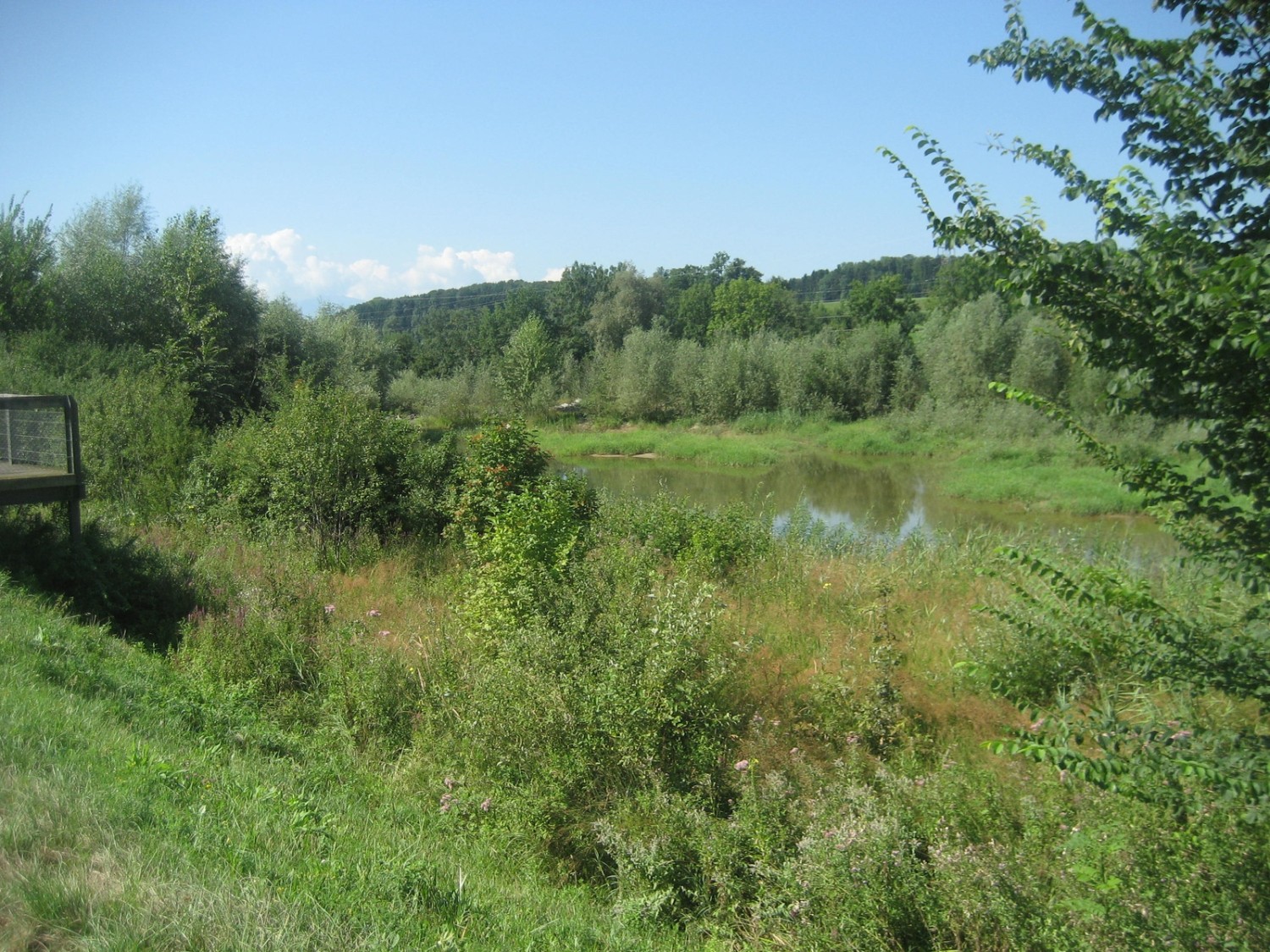 Reusslandschaft
