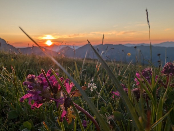 2026_06_27_Wandernacht