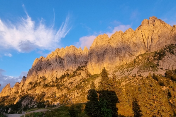 VOM SENSELAND INS SAANENLAND