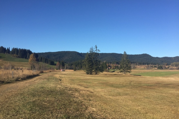 ÜBERRASCHUNGSTOUR ZU ALLERHEILIGEN