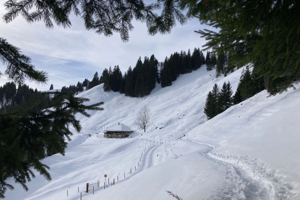 Kraftort Heiligkreuz