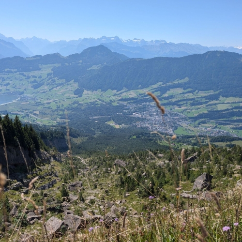 PXL_20250808_101644009