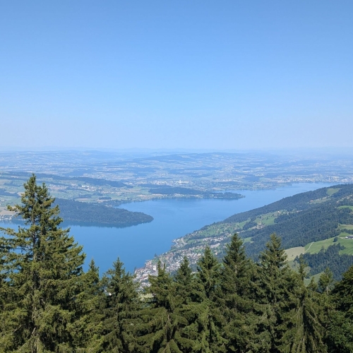 PXL_20250808_090007865