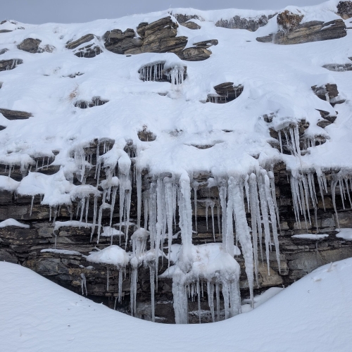 PXL_20260315_100632927