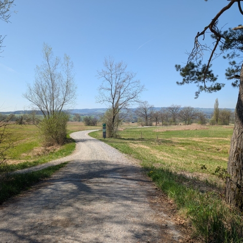 PXL_20260411_105054283 (1)