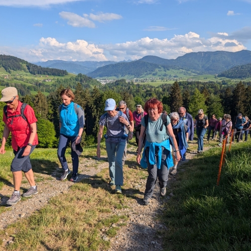 PXL_20260508_154203266 (1)