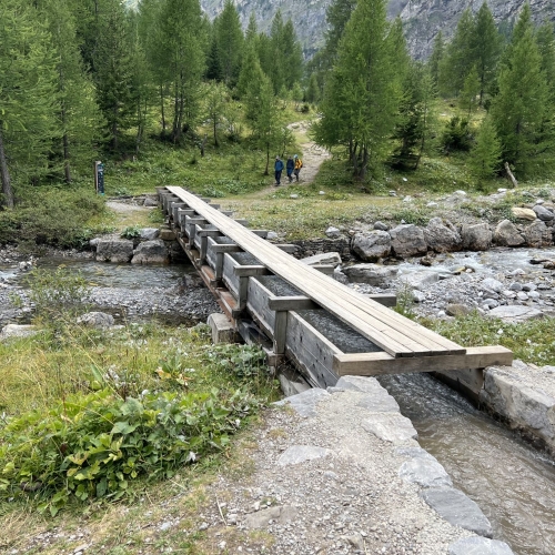 IMG_0790