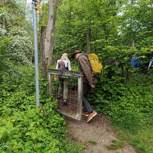 IMG20250504094748