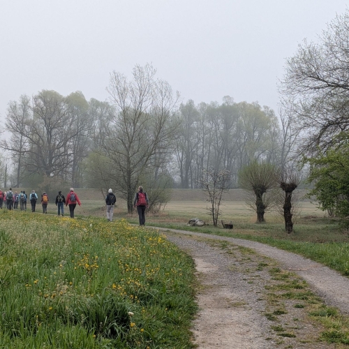 PXL_20260411_074814458