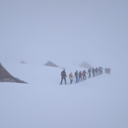 PXL_20260315_093911308