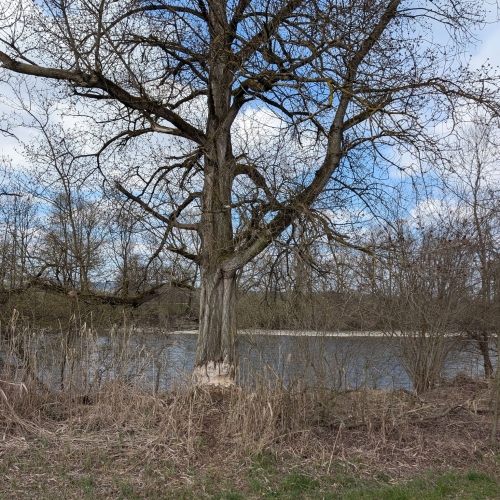 PXL_20260402_120819058