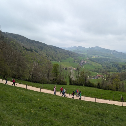 PXL_20250426_101217986