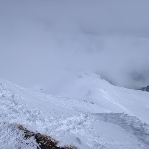 PXL_20260315_121245176