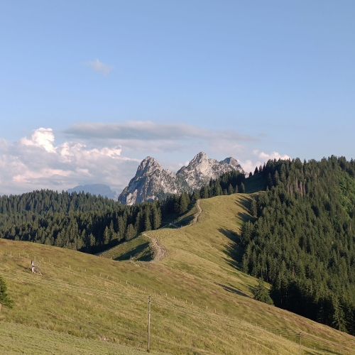 IMG20250712200949