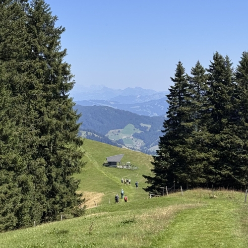 IMG_7496