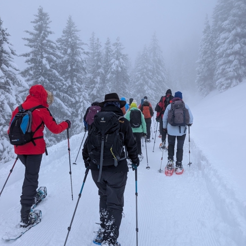 PXL_20260315_085451379