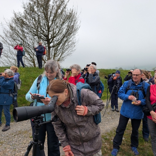 PXL_20260411_084507743