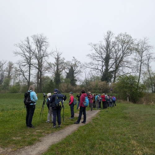 PXL_20260411_075400365