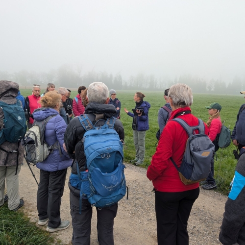 PXL_20260411_064702267