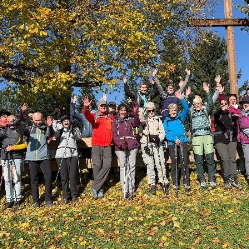 392ba444-6a52-4434-ac7a-5ca3ea87abf6