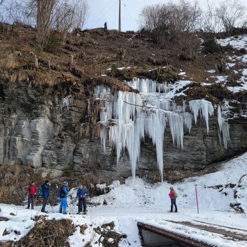 PXL_20260125_113524642