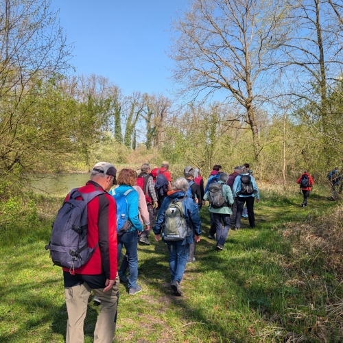 PXL_20260411_094909356