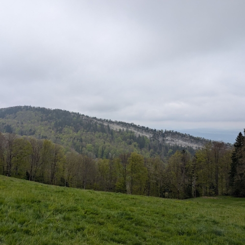 PXL_20250426_100446572
