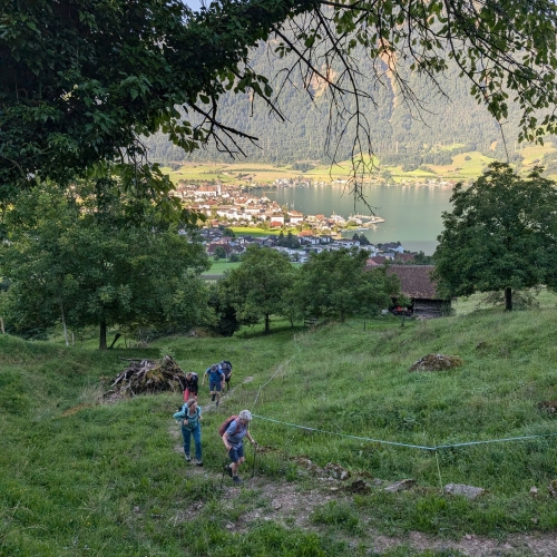 PXL_20250808_062446623