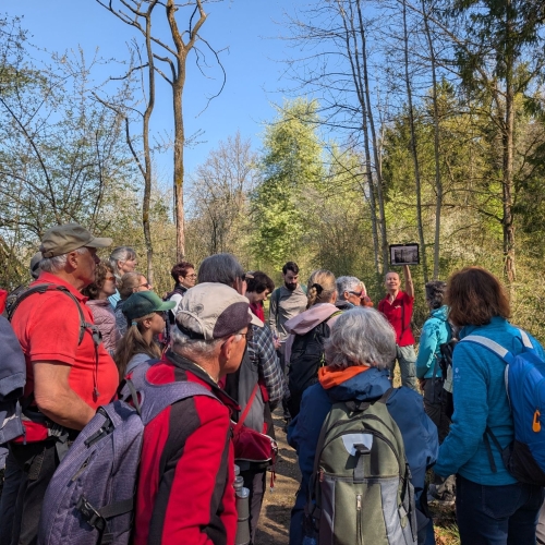 PXL_20260411_095936352